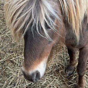 Meet your Posher, Jacquelyn
